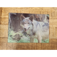 Glazen snijplank met foto