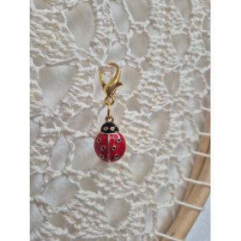 Gelukshangertje lieveheersbeestje