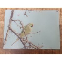 Glazen snijplank met foto