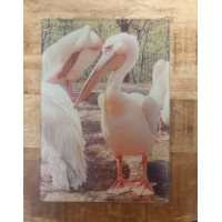 Glazen snijplank met foto