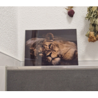 aluminium foto plaat