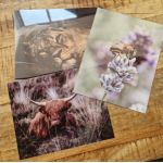 aluminium foto plaat