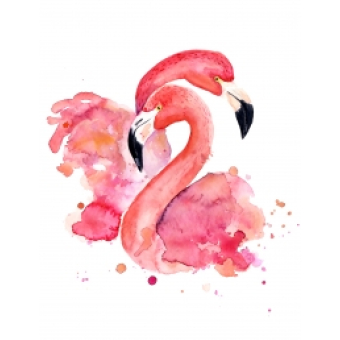 Poster Flamingo 2