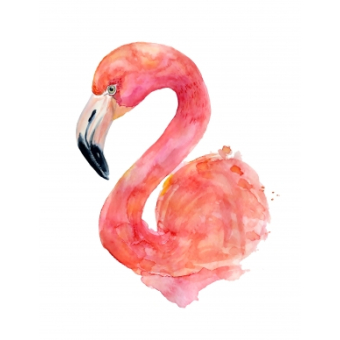 Poster Flamingo 1