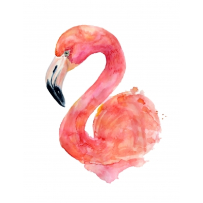 Poster Flamingo 1