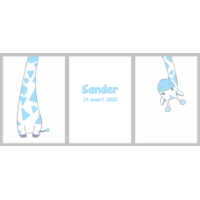 Geboorteposter Giraffe 