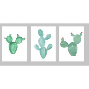 Posterset "cactus" 2