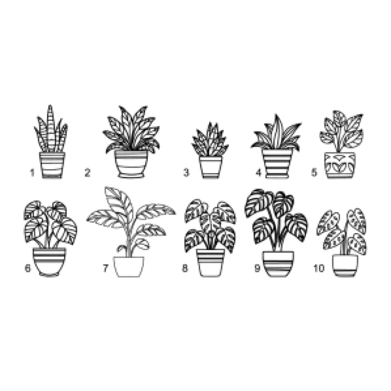 kamerplanten raamsticker