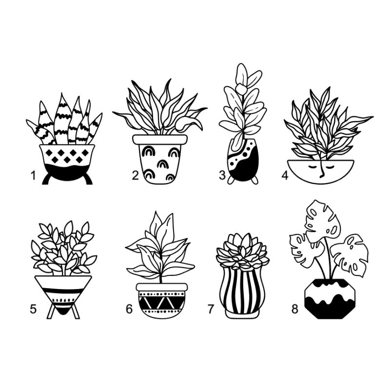 raamsticker grappige kamerplanten