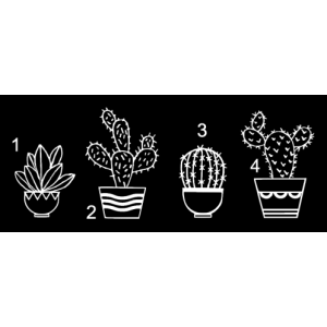 Cactus raamstickers A