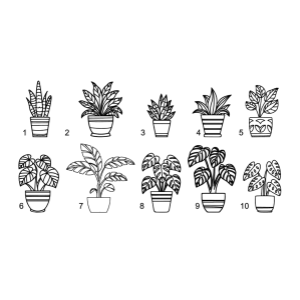 kamerplanten raamsticker