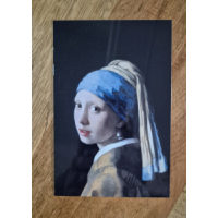 Aluminium plaat met grappige opdruk 10 x 15 cm