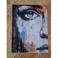 Aluminium plaat met grappige opdruk 15 x 20 cm