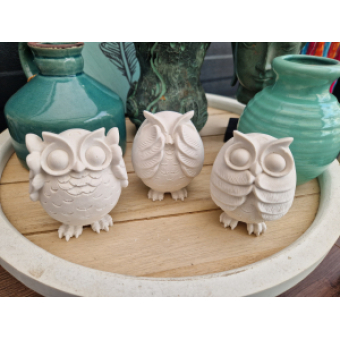 Horen zien en zwijgen uiltjes